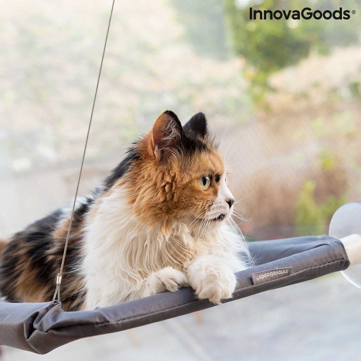Hamac de fenêtre à ventouses pour chat