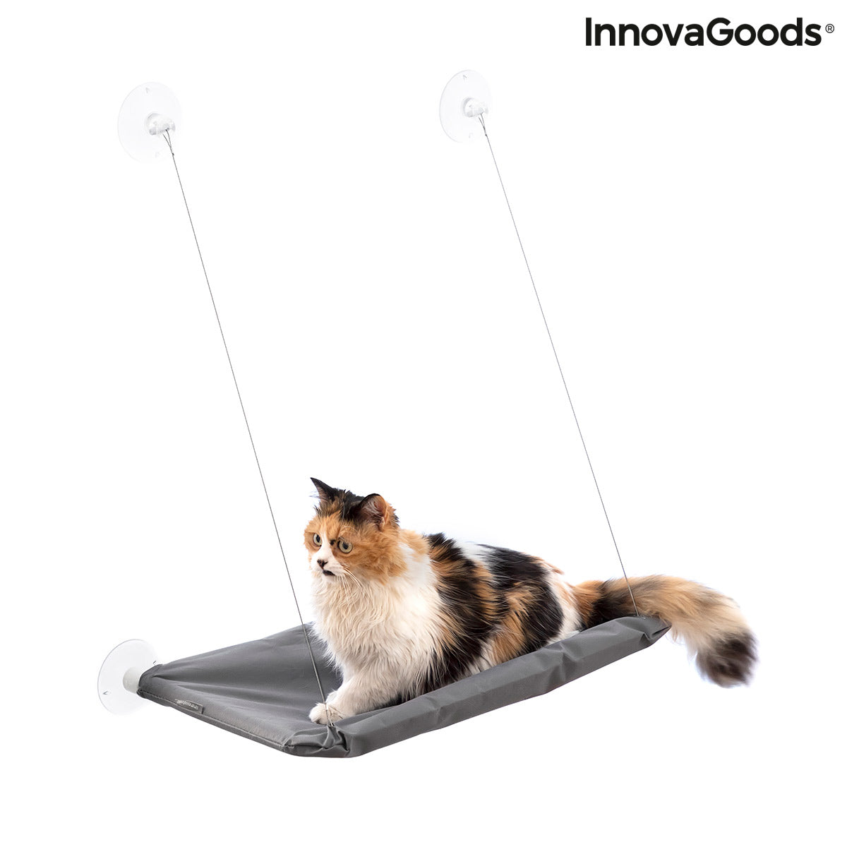 Hamac de fenêtre à ventouses pour chat