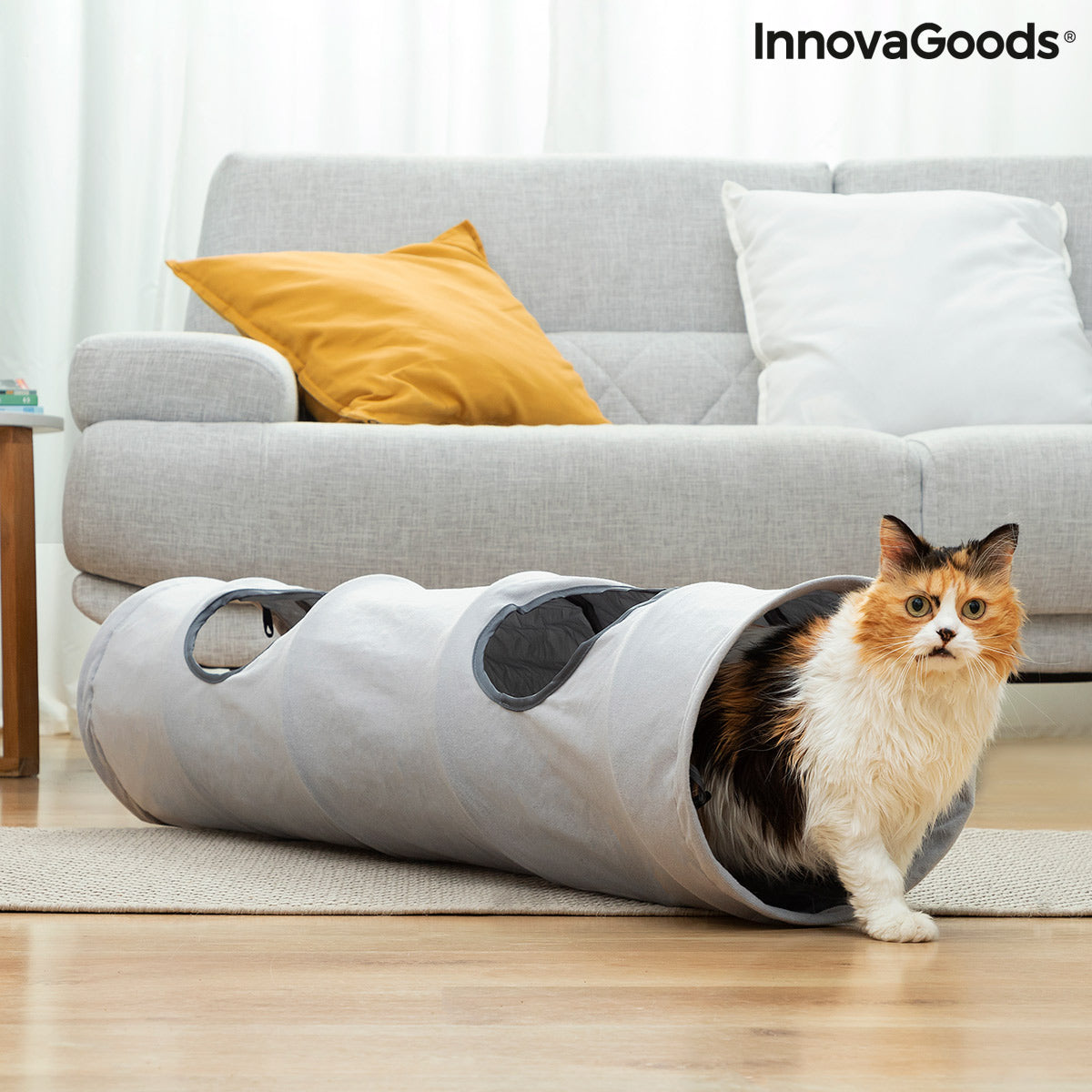 Tunnel de jeu pliable pour chat