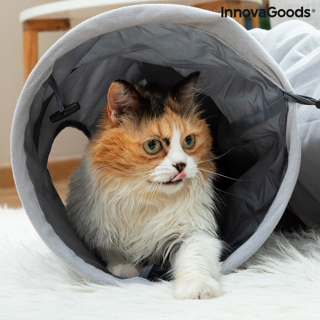 Tunnel de jeu pliable pour chat