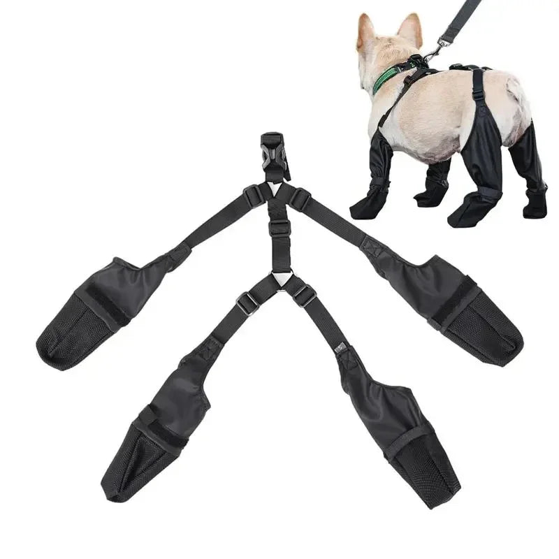 Chaussures imperméables pour chien
