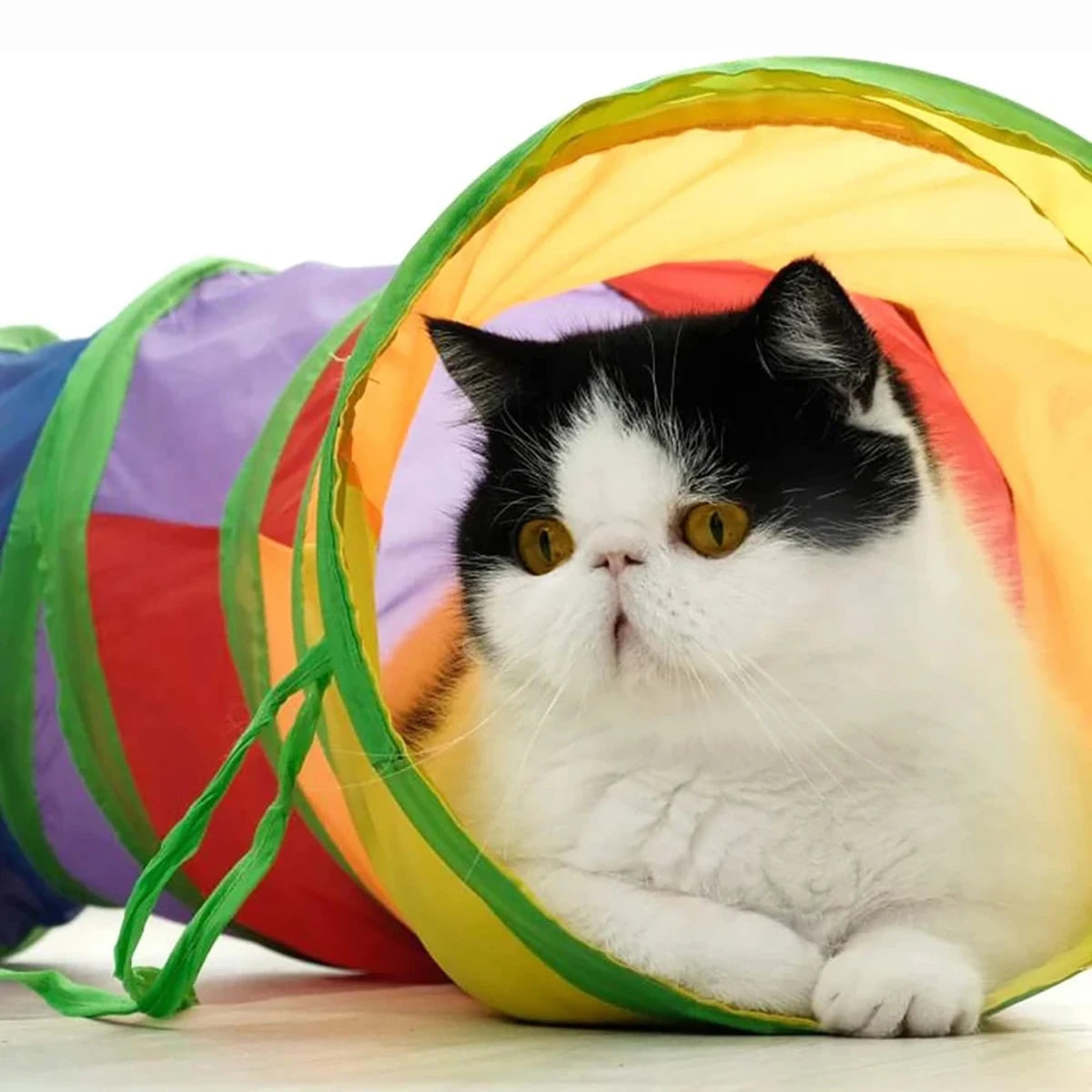 Tunnel pour chat pliable – plusieurs formes (S, T, Y, droit)
