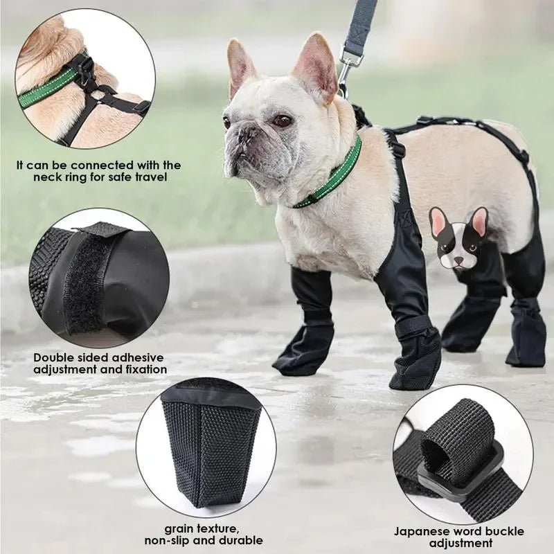 Chaussures imperméables pour chien