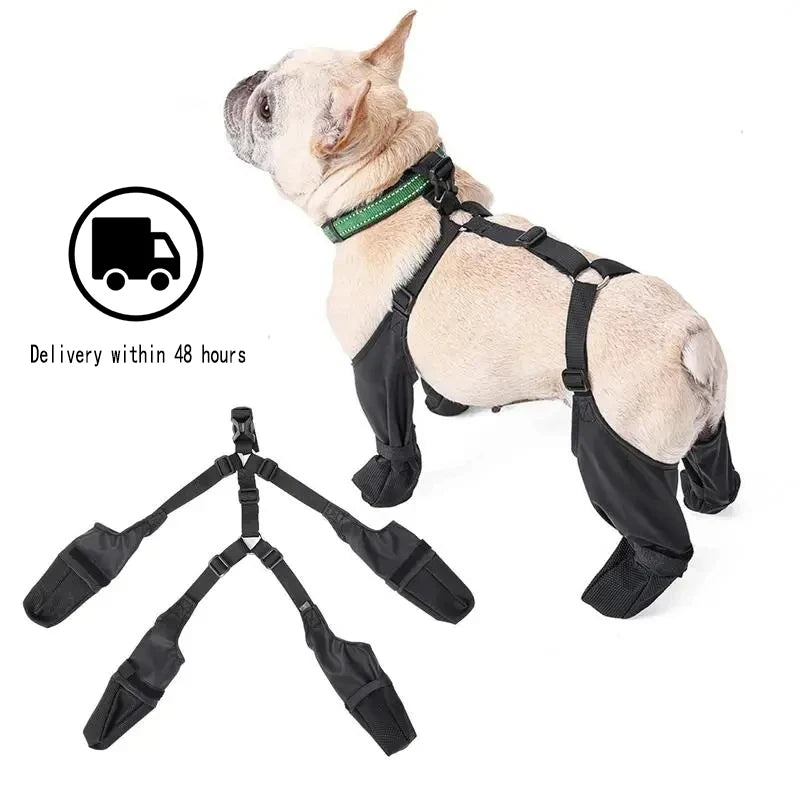 Chaussures imperméables pour chien