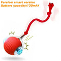 Balle interactive automatique pour chat
