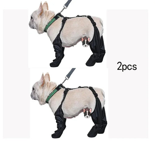 Chaussures imperméables pour chien