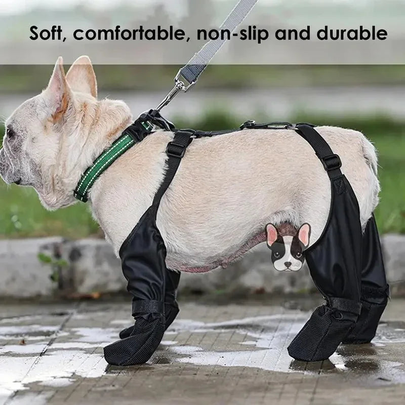 Chaussures imperméables pour chien