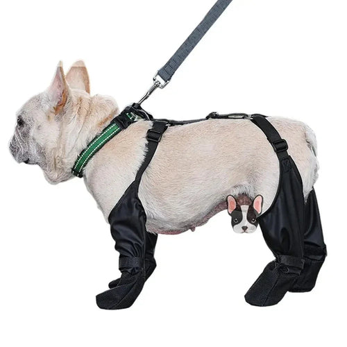 Chaussures imperméables pour chien