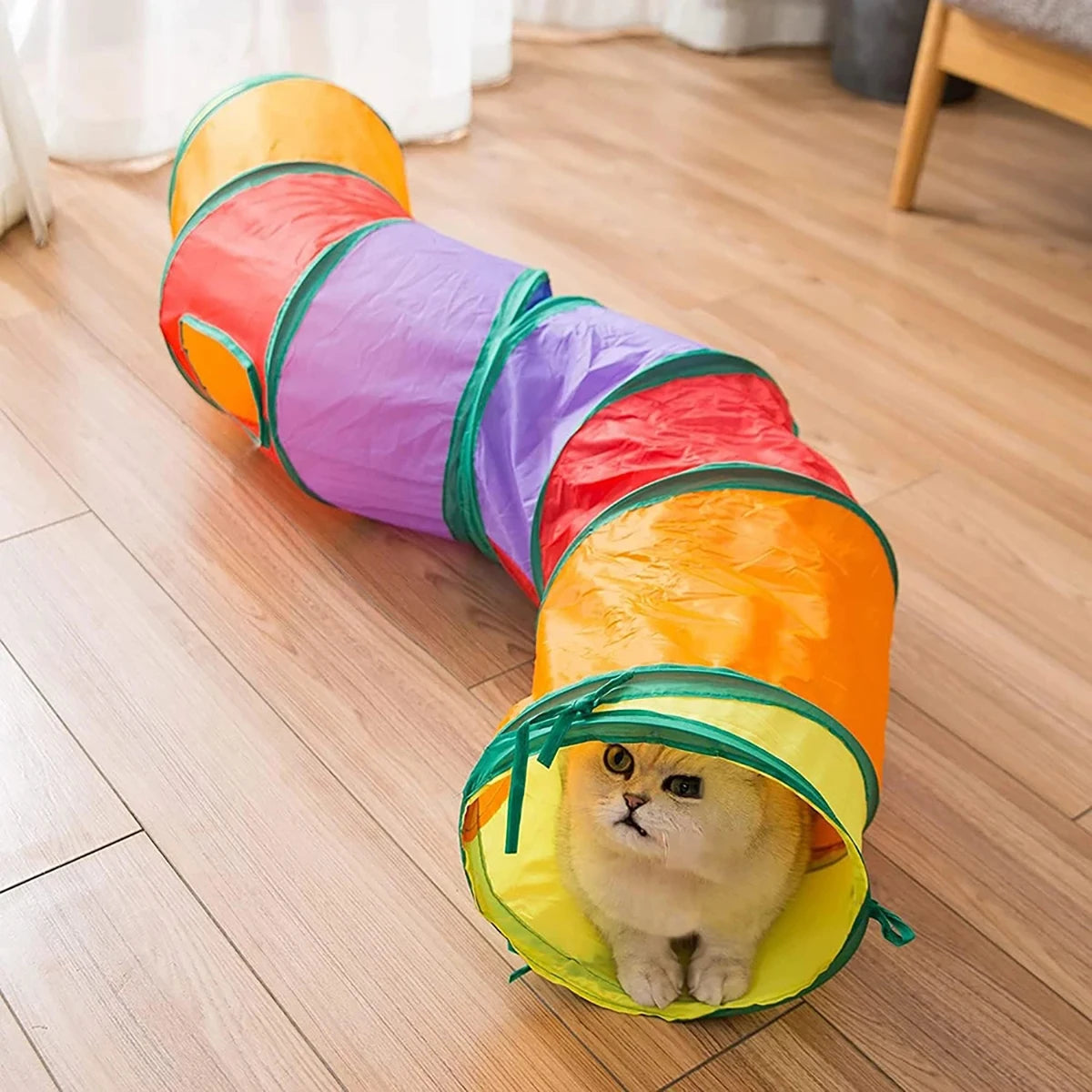 Tunnel pour chat pliable – plusieurs formes (S, T, Y, droit)