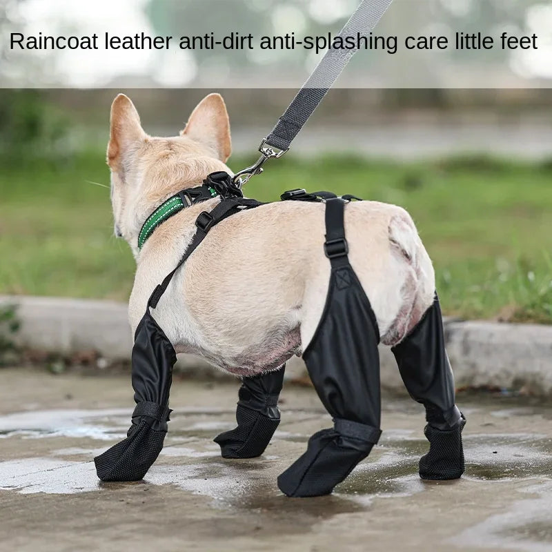 Chaussures imperméables pour chien