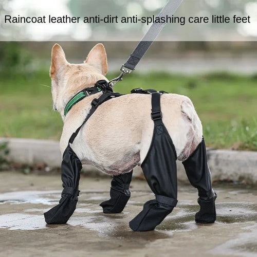 Chaussures imperméables pour chien