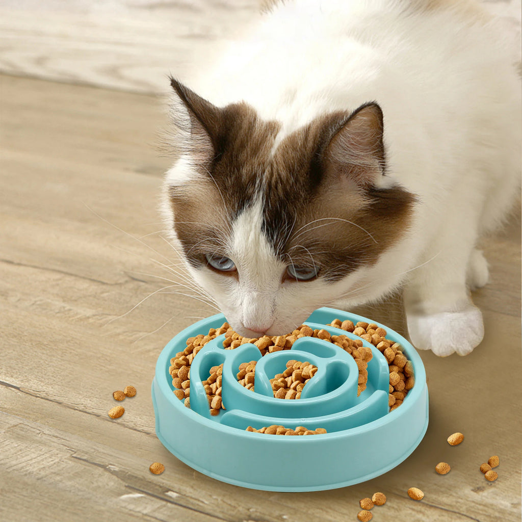 Gamelle anti-glouton labyrinthe pour chien et chat