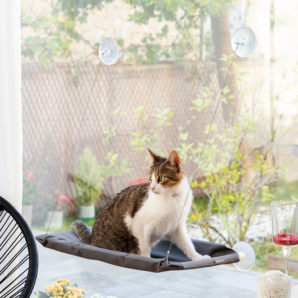 Hamac de fenêtre à ventouses pour chat