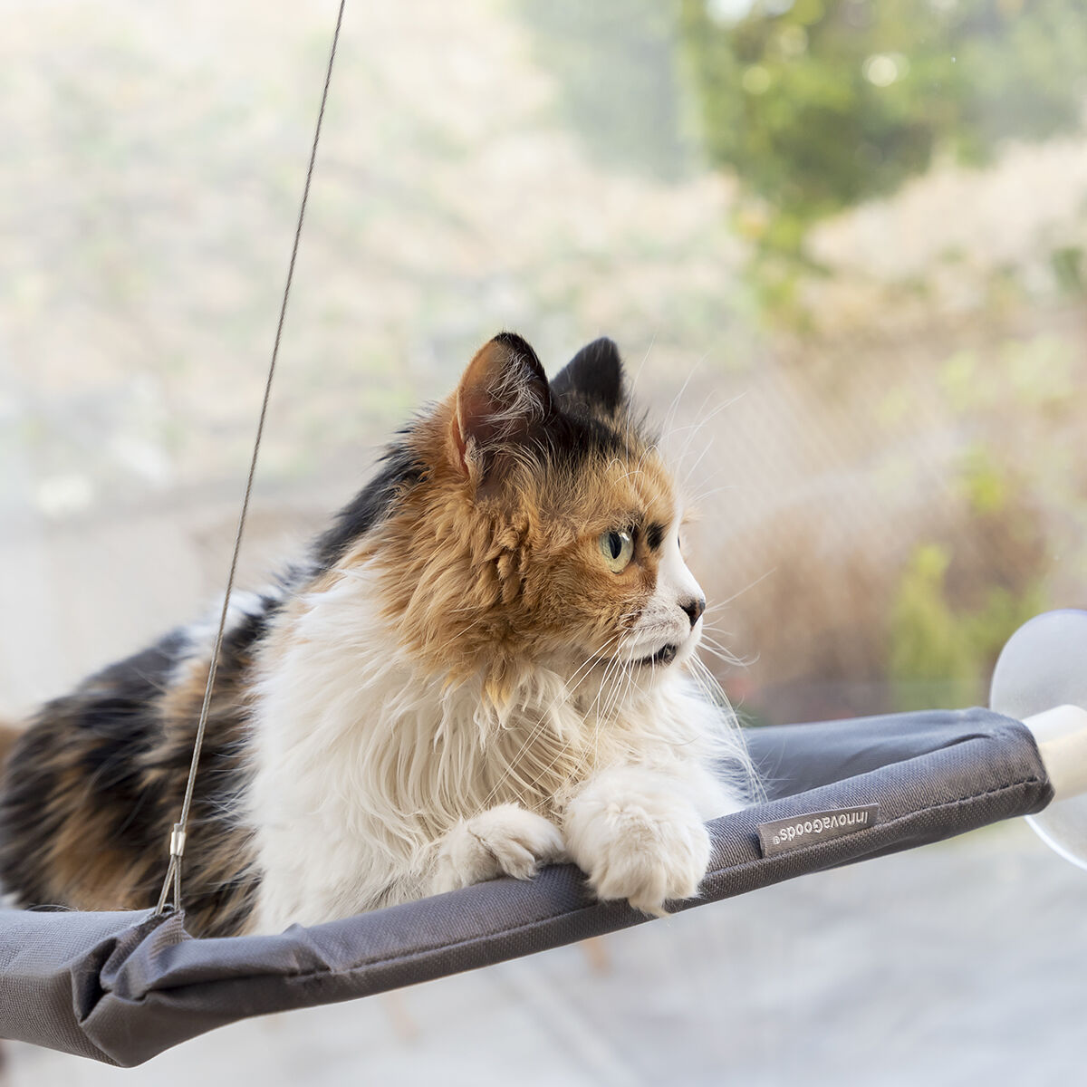 Hamac de fenêtre à ventouses pour chat