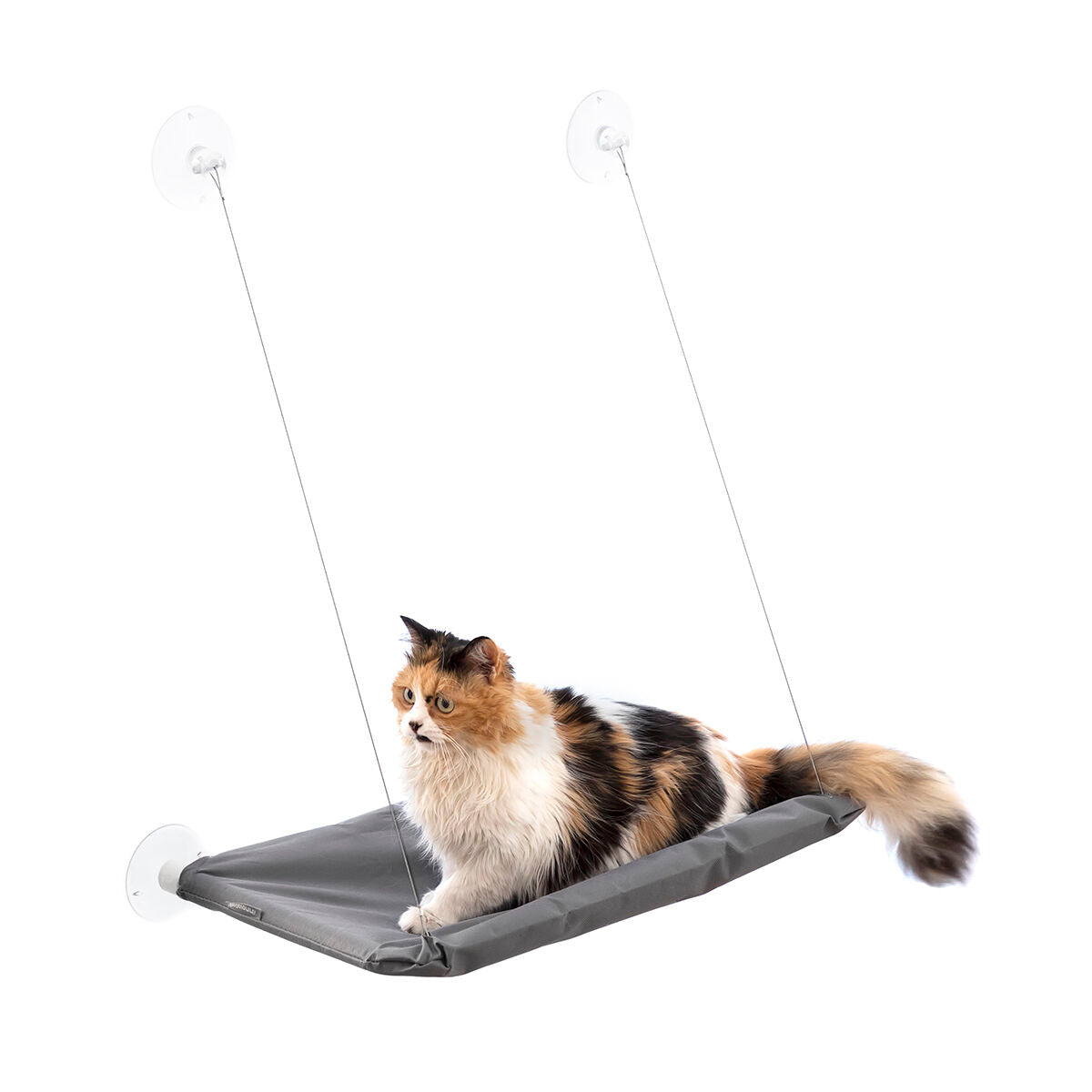 Hamac de fenêtre à ventouses pour chat