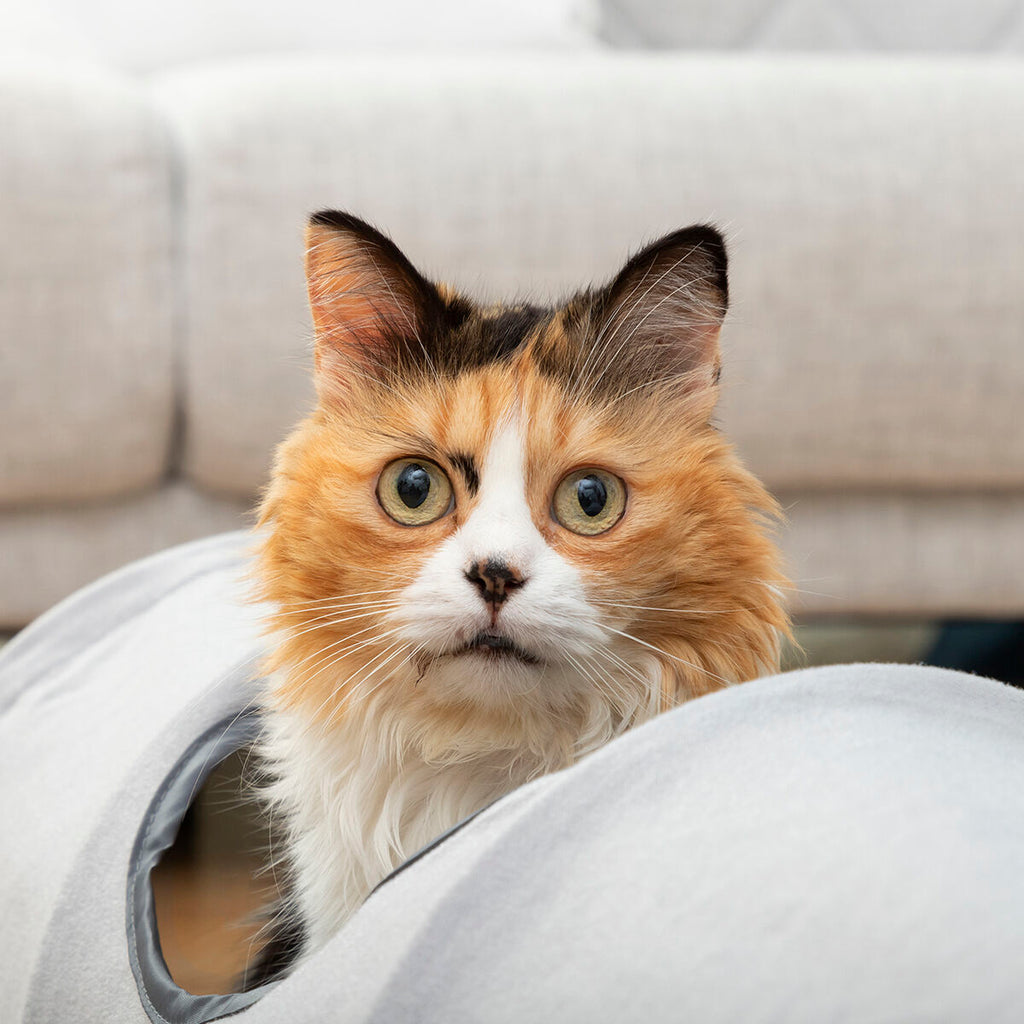 Tunnel de jeu pliable pour chat