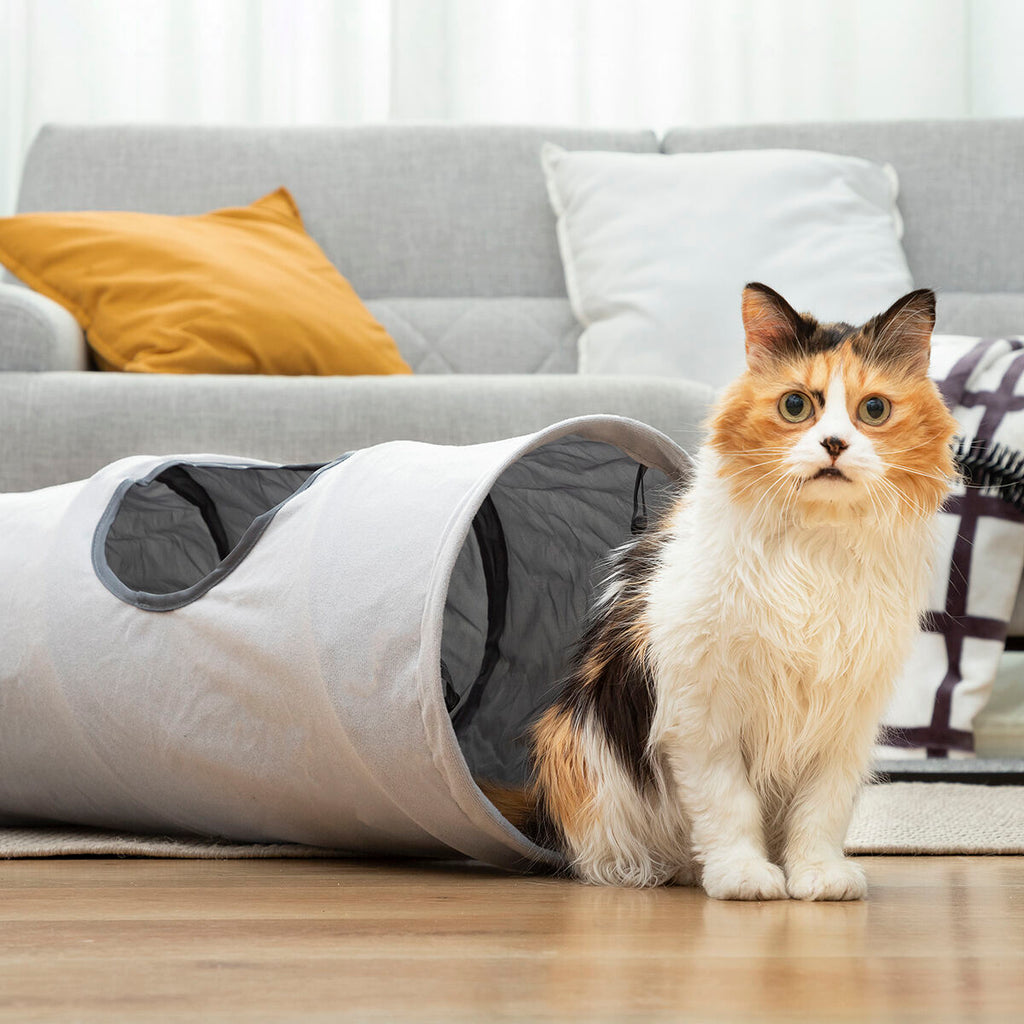 Tunnel de jeu pliable pour chat