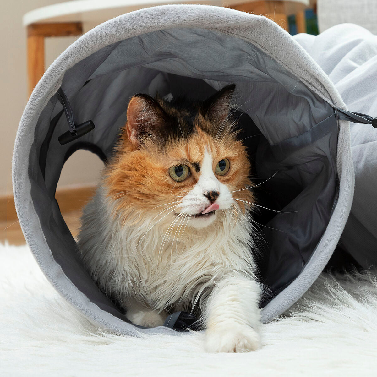 Tunnel de jeu pliable pour chat